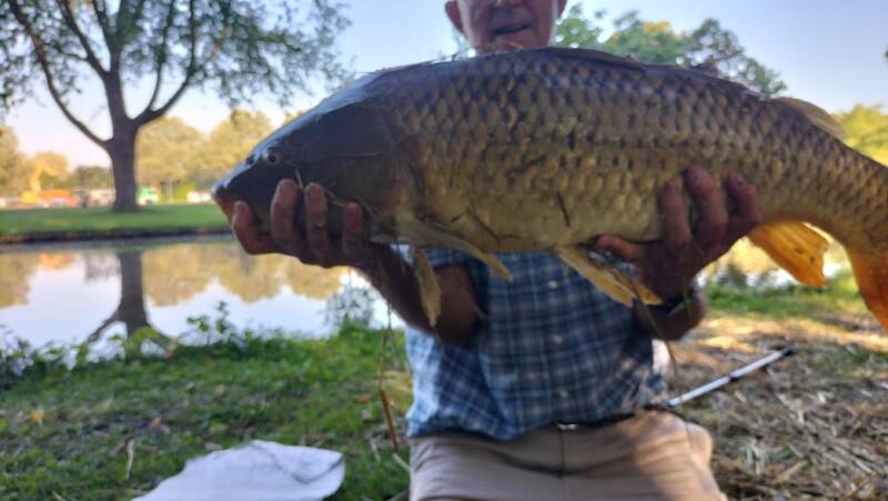 102schubkarper80cm87kg08-09-2023rlp.jpg