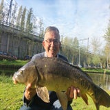 3-spiegelkarper-80cm-volkstuin-15-04-2025-standard-tvdhhn.jpg