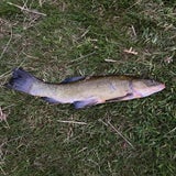 img-20220712-wa0007.jpg