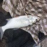 thumbnail_img-20221027-wa0011-1.jpg