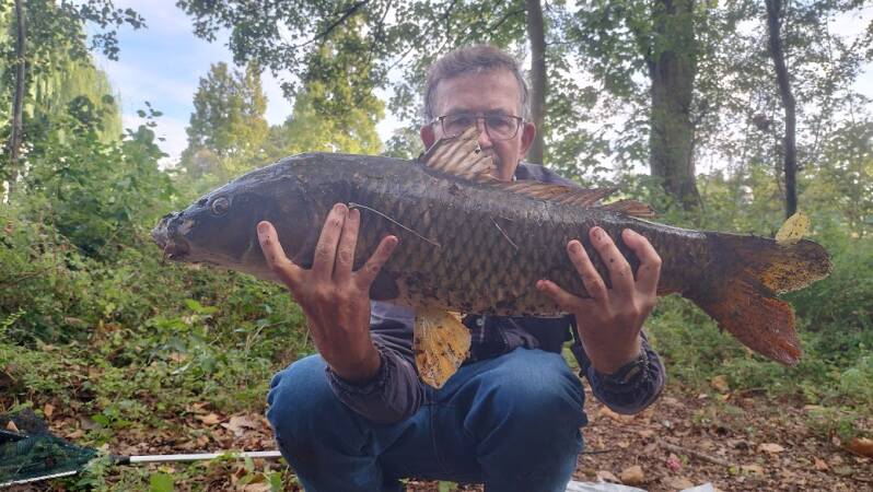76schubkarper80cm28-08-2023brugrlp-2.jpg