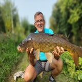 98-schubkarper-81cm-volkstuin-18-08-2024-standard-wfwn2d.jpg
