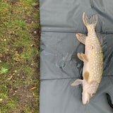 IMG-20220107-WA0011.jpg