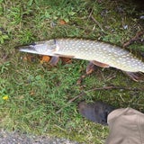 IMG-20201025-WA0007-1.jpg