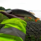 IMG-20190612-WA0007-3.jpg