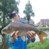 thumbnail_4schubkarper66cm11-7-23-1.jpg