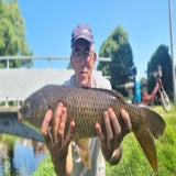 thumbnail_1schubkarper58cm9-07-23-1.jpg