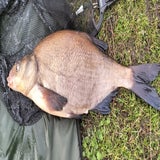img-20240310-wa0004-standard.jpg