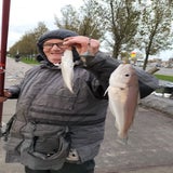 img-20241118-wa0011-standard-3l16u3.jpg