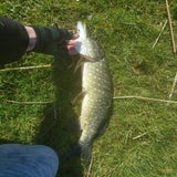 IMG-20210321-WA0004-1.jpg