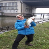IMG-20191023-WA0001-1.jpg