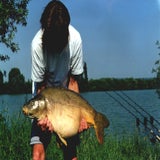 karper42-1.jpg
