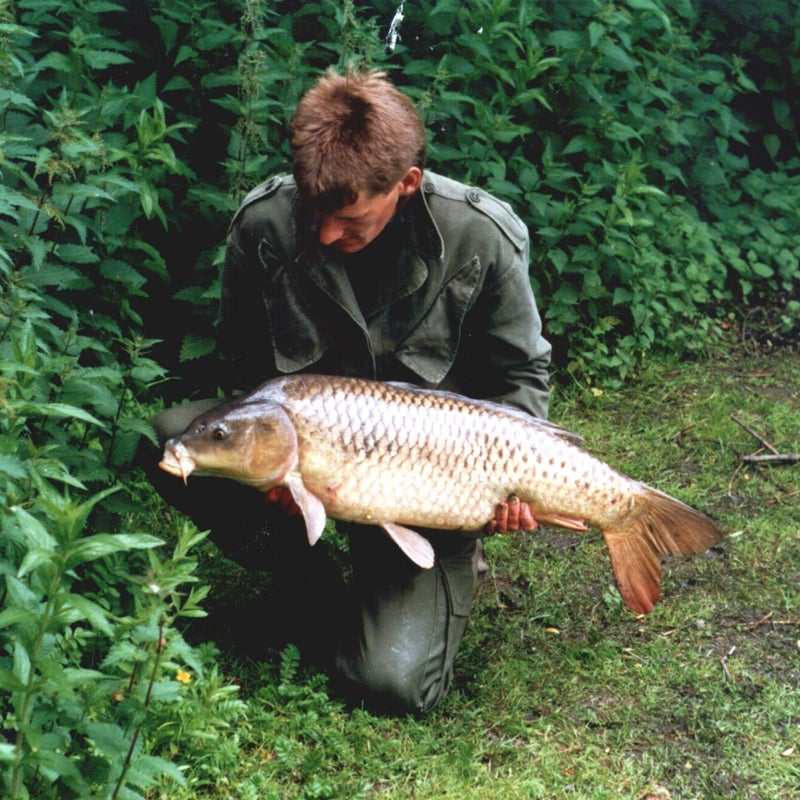 karper99-2.jpg