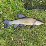 img-20220712-wa0006-1.jpg