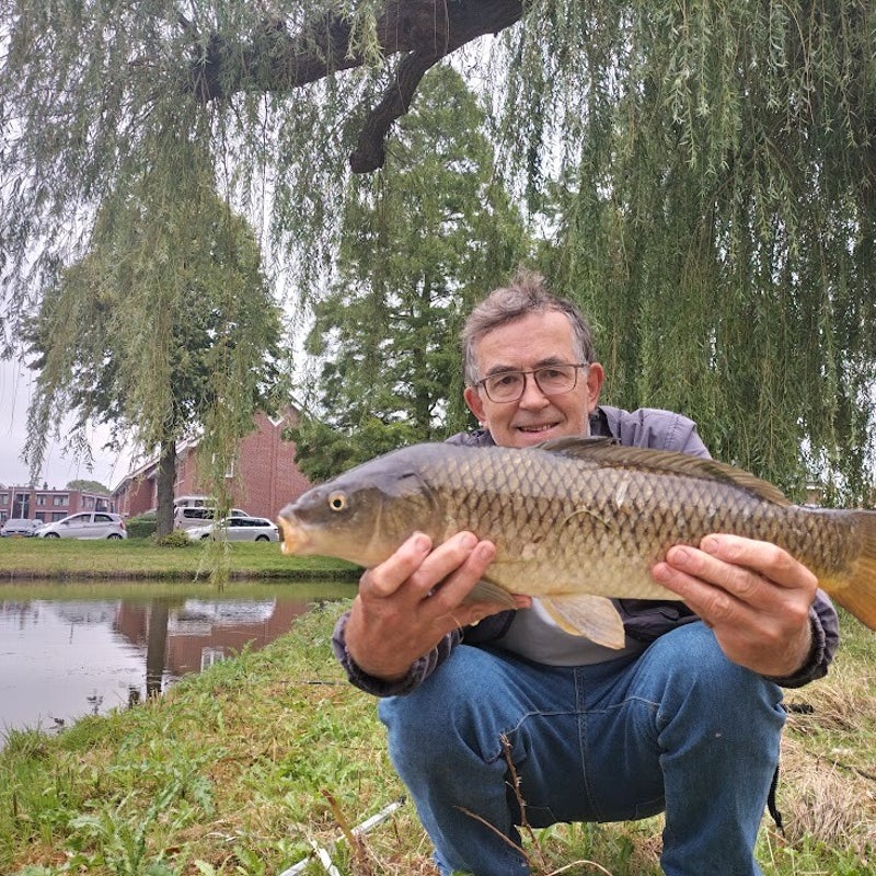 49schubkarper52cm18-08-2023nw-1.jpg