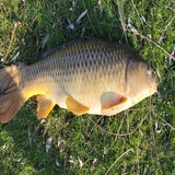 thumbnail_1-schubkarper-75cm-6-5-kg-rlp-volkstuin-27-03-2025-kopie-standard.jpg