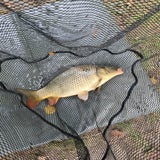 IMG-20210910-WA0010-2.jpg