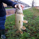 IMG-20201230-WA0005-1.jpg