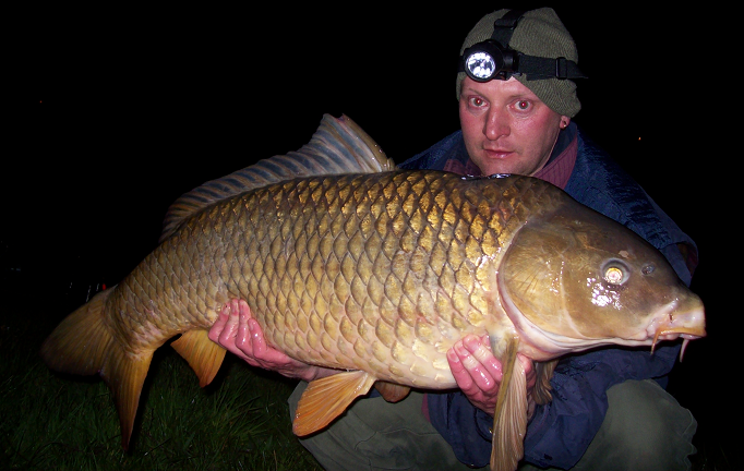 2008-3.bmp