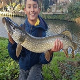 IMG-20201217-WA0004.jpg