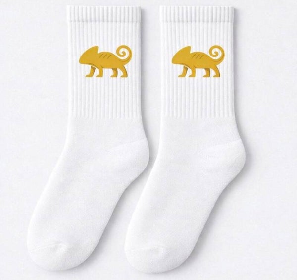 les kamésocks