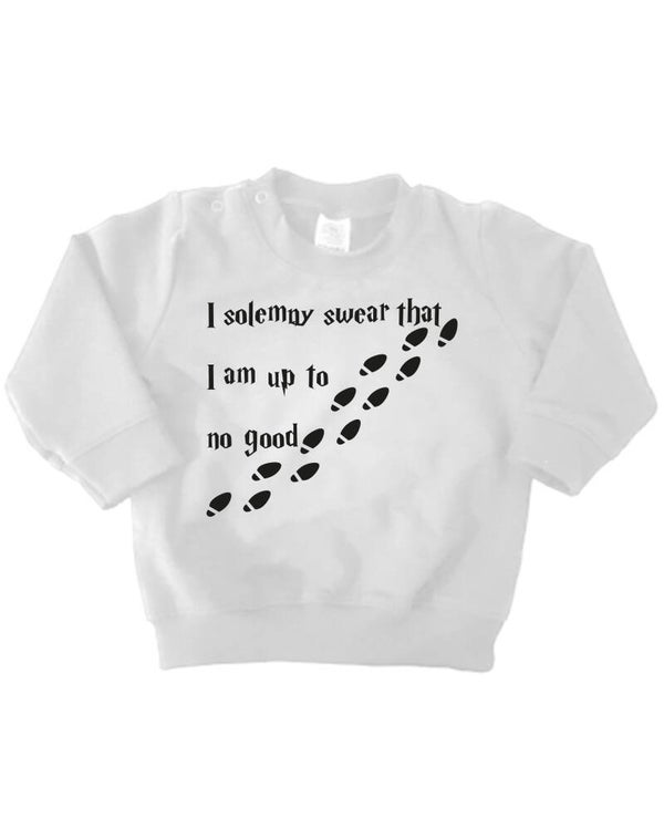 'I solemny swear that I am up to no good'