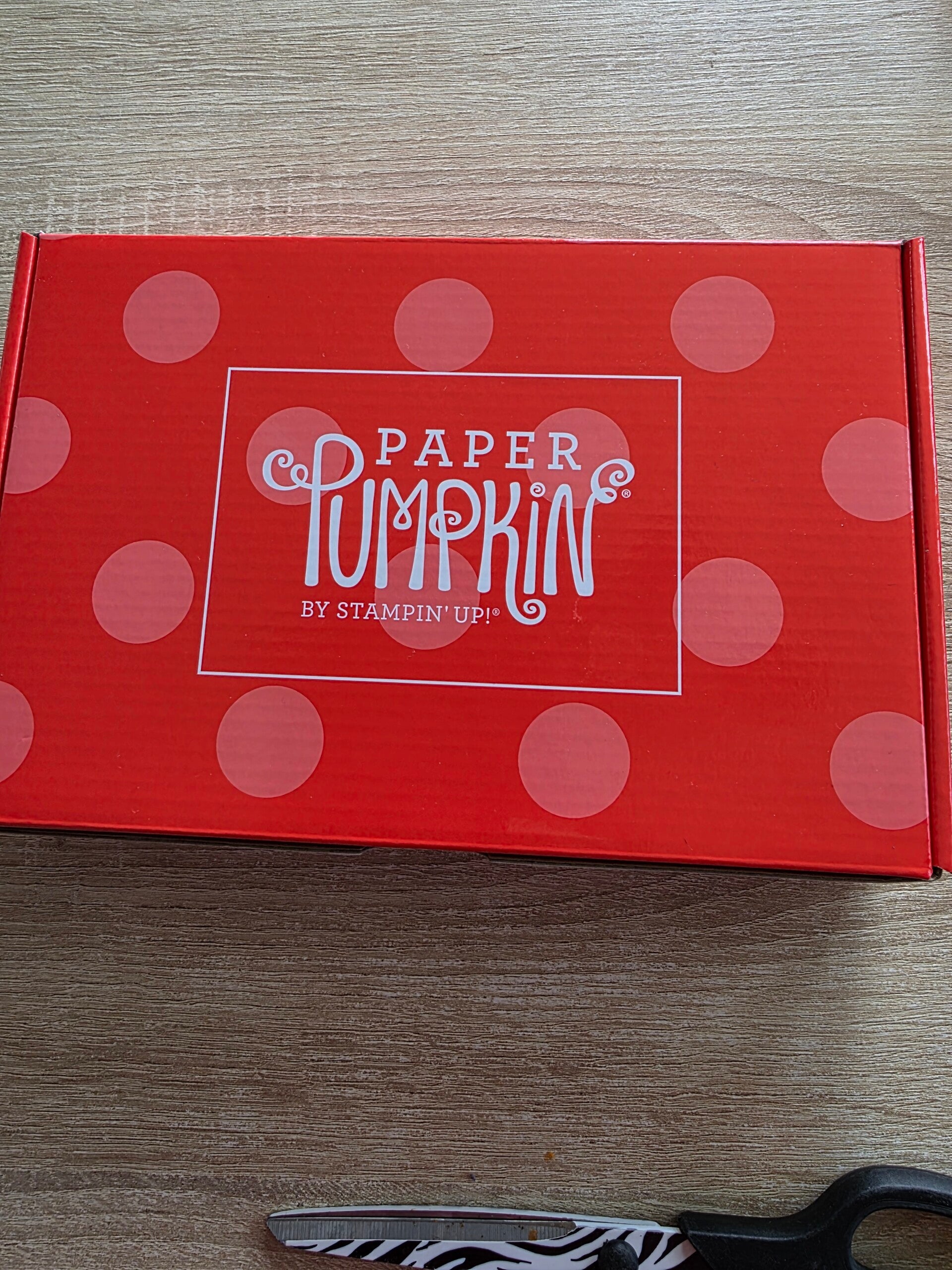 Paper Pumpkin by Stampin Up!