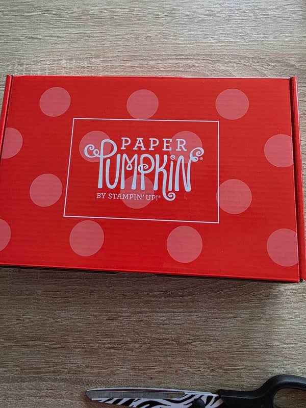 Paper Pumpkin by Stampin Up!