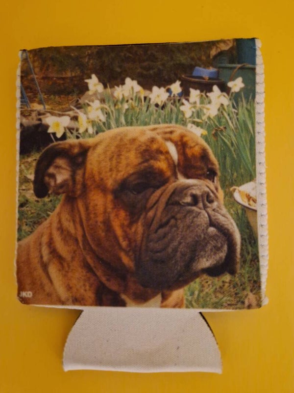 Getränke-Dosen-Kühler