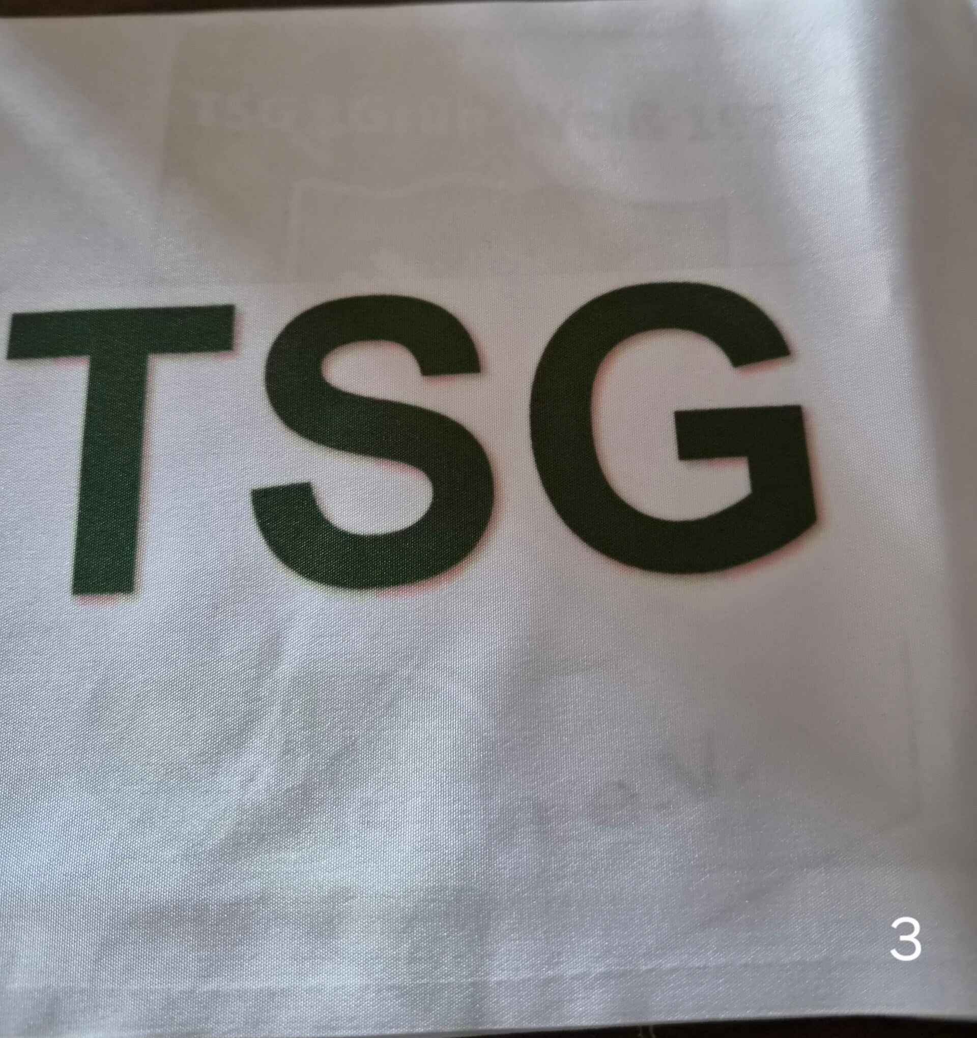 Fan-Schal3 TSG mit Fehlern