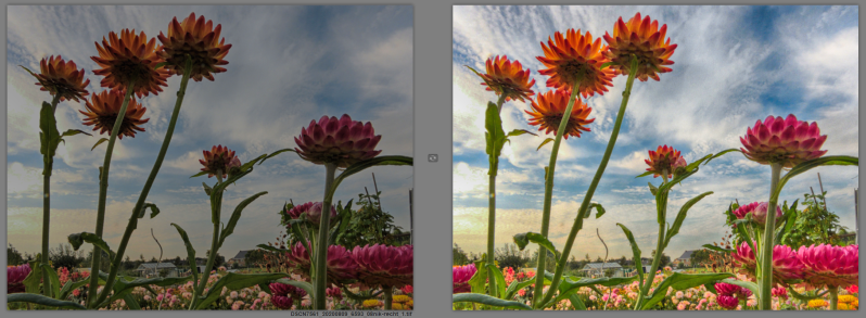 Voorbeeld HDR Efex Pro