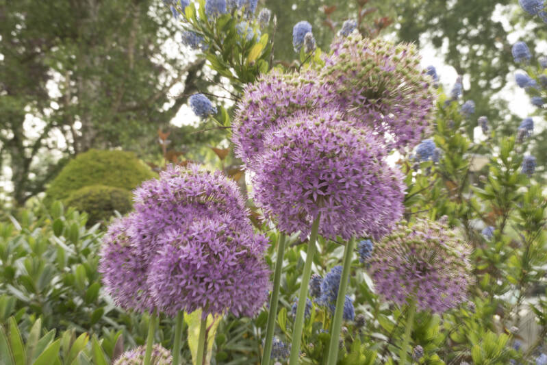 1 e scherp 2e onscherp