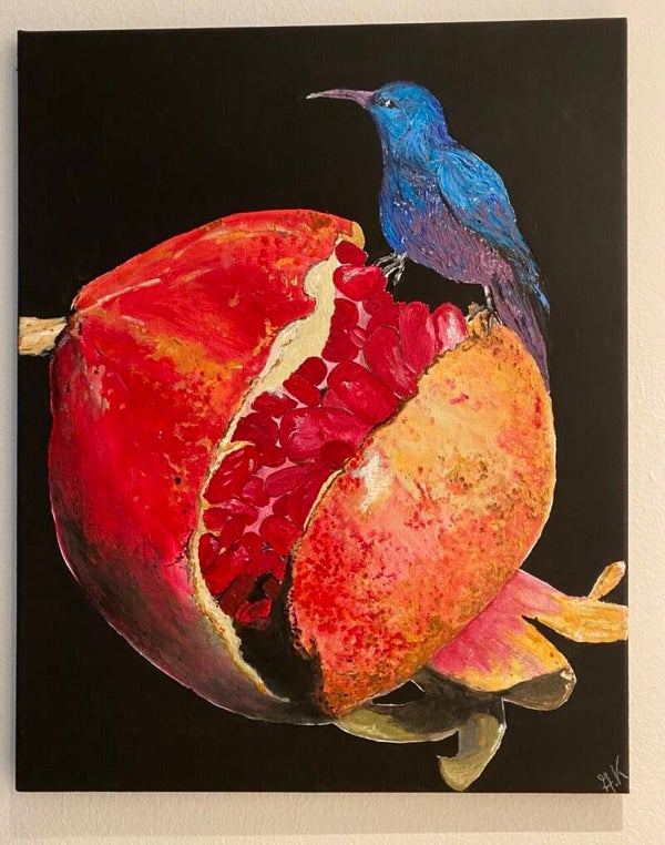 Punica granatum