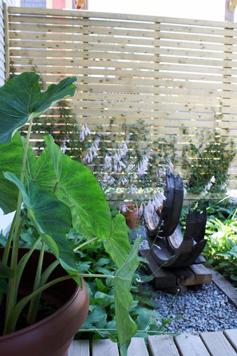 Sculpture in the garden