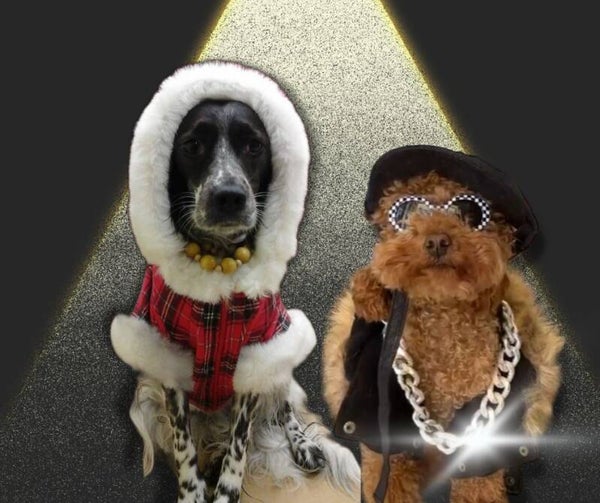 Manuale i toelettatura