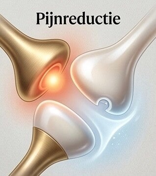 2. Pijnbestrijding ⚕️