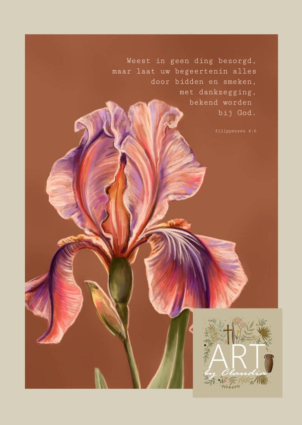 'Weest in geen ding bezorgd'