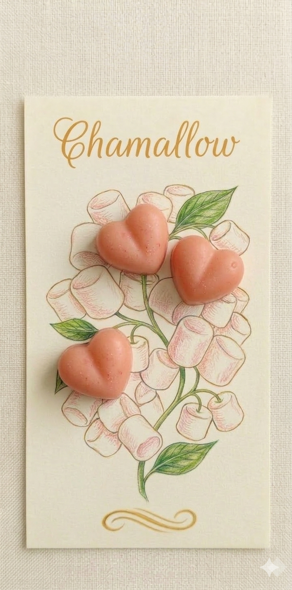 🌈 Fondants Parfumés