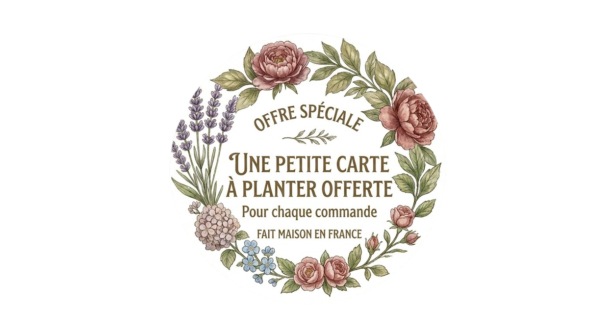 Offre Spéciale