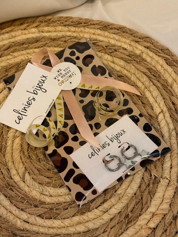 RVS OORBELLEN ZILVER