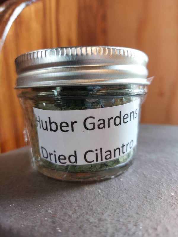Cilantro