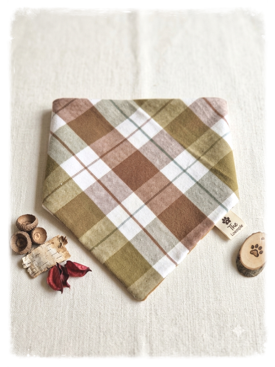 Reversible Autumn Dog Bandana - Plaid & Fall Leaves