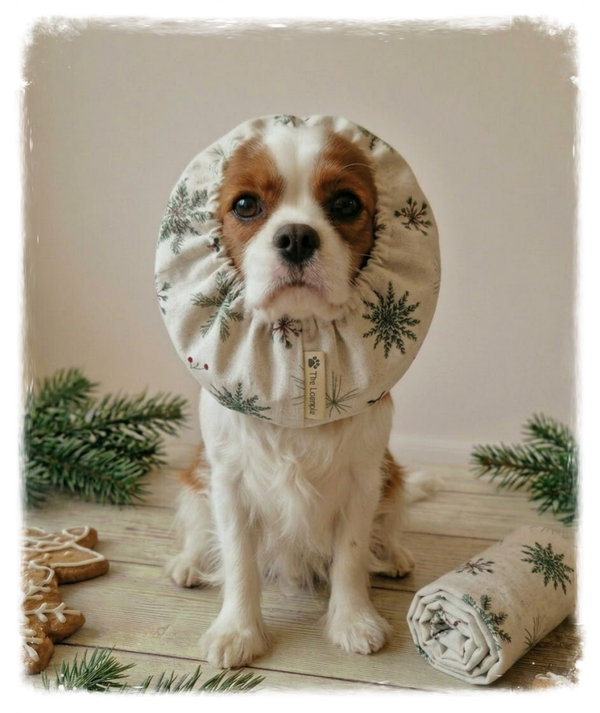 Snowflakes Snood - Cosy and Wintery