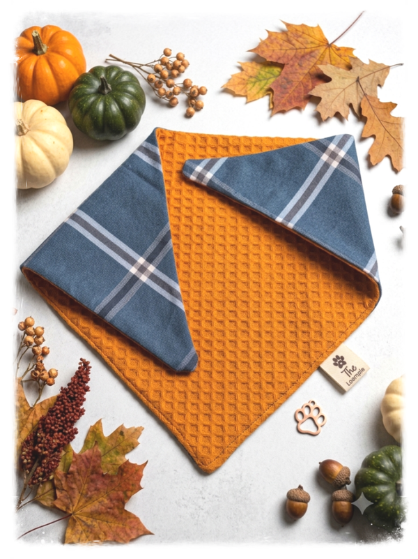 Reversible Autumn Dog Bandana - Blue Plaid and Orange Waffle