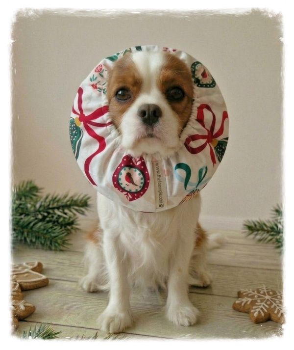 Christmas Ornament Dog Snood – Festive & Cosy 🎄