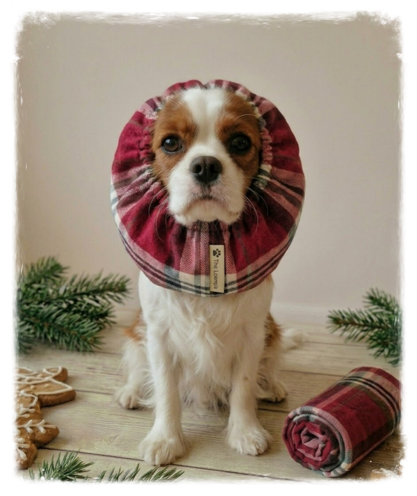 Christmas Classic Red Plaid Snood – Timeless & Festive ❤️