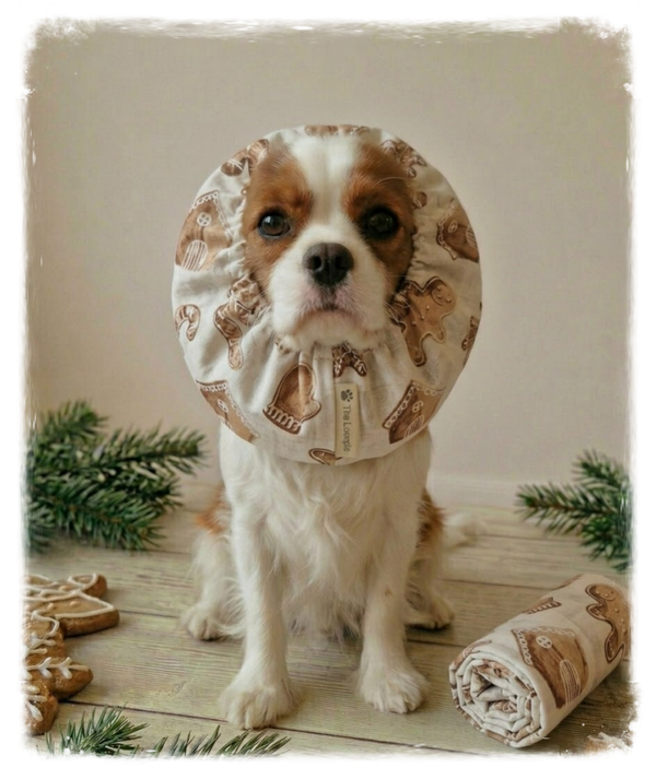 Gingerbread Snood – Sweet & Festive 🍪