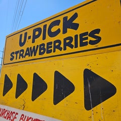 20230625_145149.jpg
