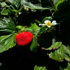 20230625_144202.jpg