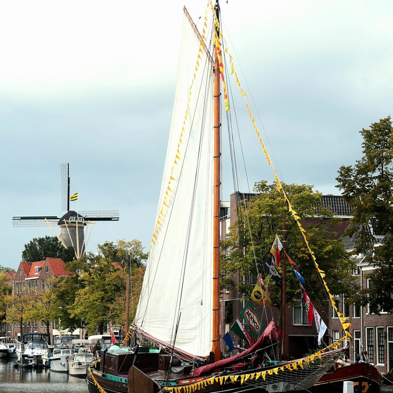 480a3393-standard.jpg